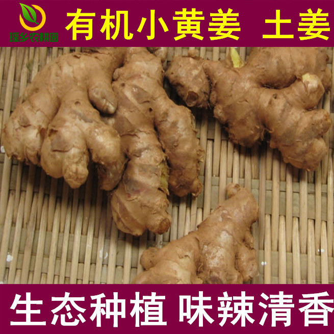 Farmhouse Self-planted Yao Mountain fire ginger earth ginger small yellow ginger original point with ginger ginger moon zingiberi gingerecono pesticide 250g