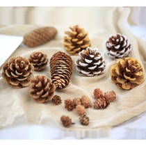 Natural pine cones shooting props background Home accessories Christmas Day decoration Pine tower Larch photo props