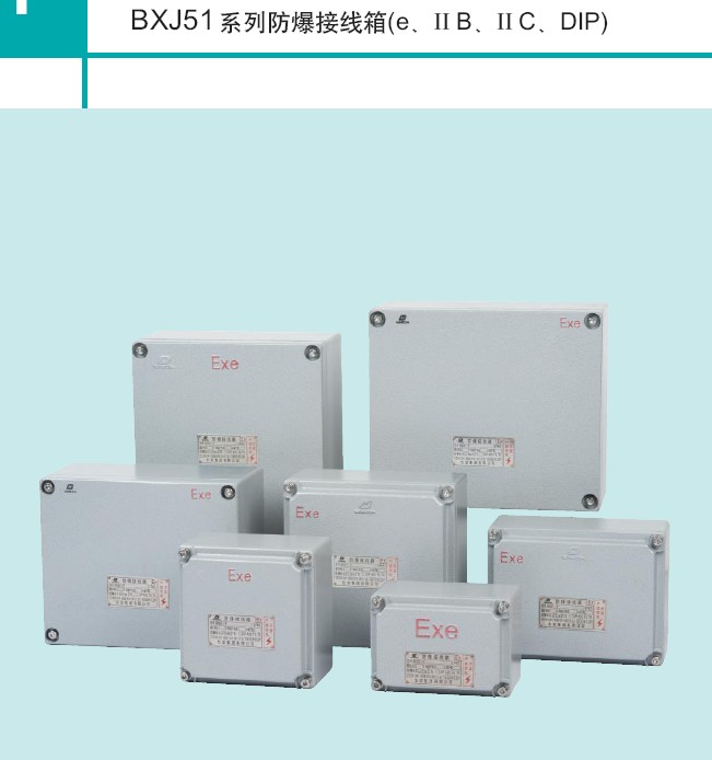 Huarong Technology explosion-proof junction box BXJ51-IIB-20 24
