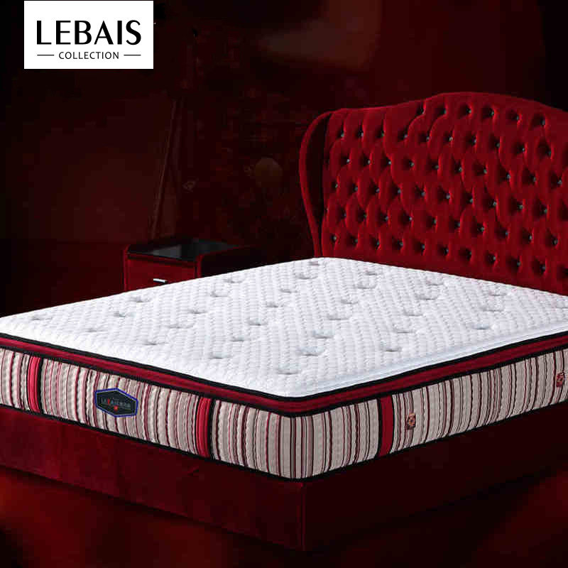 �ձ�˹�������Ϸ����齺����B15-01