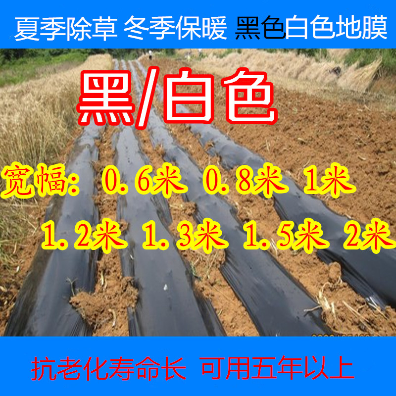 Black Mulch film Plastic film Black Mulch film Black Mulch film Agricultural film Greenhouse film Vegetable covering film Film