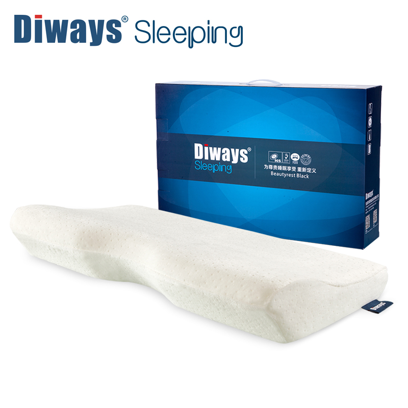 diways��ˮ�޼�������DW-02-B