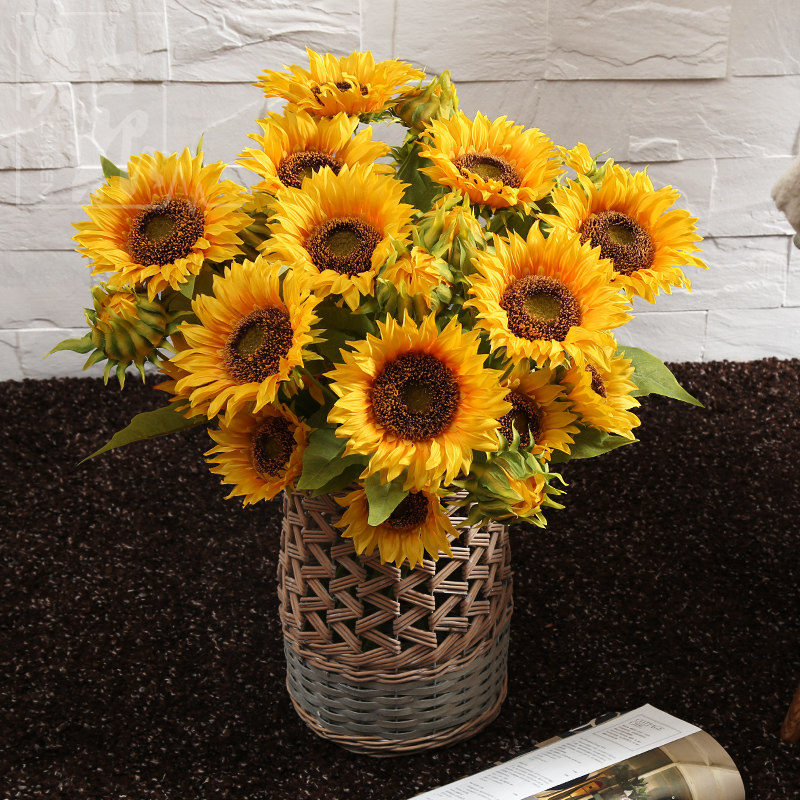 ֪���ٻ����տ�XRK-007