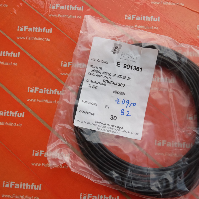 Bardiani RAAGA4587 Bardiani valve in Italy is sealed in a seal ring