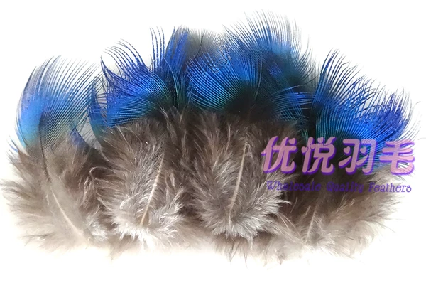 Товары от 优悦羽毛