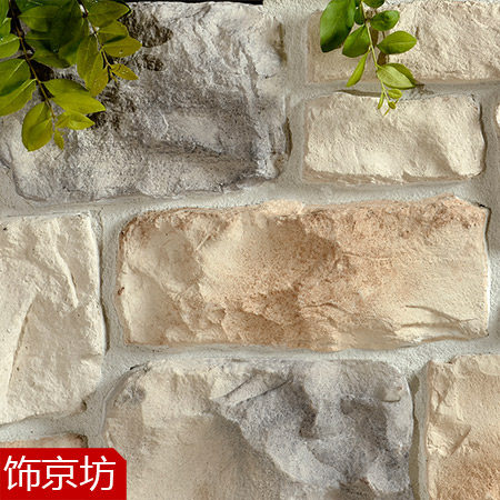 �ξ�����Լ�ִ������ǽשTG5010