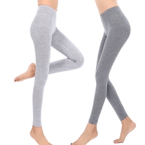 Modale Autumn Pants Woman Inside Wearing Single Piece Thin Spring Summer Tight Body High Elasticity Students Lining Pants Beauty Underpants Line Pants