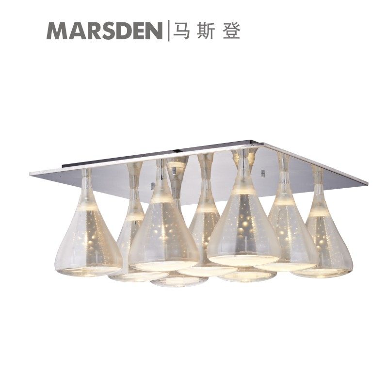 ��˹���ִ���Լ����20088