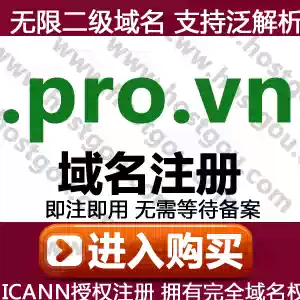 pro vn domain name registration supports pan-resolution unlimited second-level name domain Mi Vietnam website purchase application