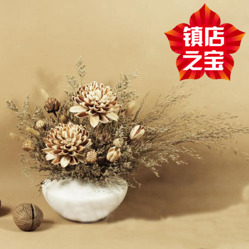 ŵ��������ζ�ɻ�װ�λ�