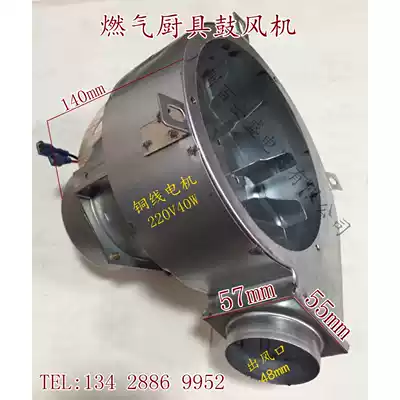 40W 60W gas blower steamer steam generator blower high temperature and low noise fan