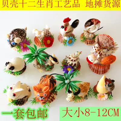 Full 38 Conch Shell Ornaments Home Jewelry Craft Gift Decoration Home Furnishing Shell Animals 12 Zodiac