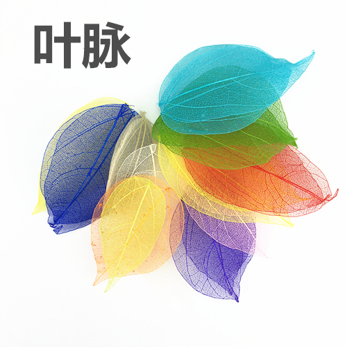 Diamond Leaf Veins Dry Flowers Real Flowers Embossing Material DIY Handmade Drop Glue Drying Flowers Cell Phone Protection Shell 5 Pieces