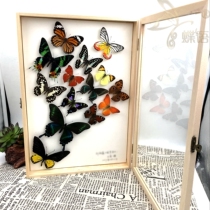 Butterfly at home and abroad butterfly combination art framed insect butterfly specimen personalized custom gift