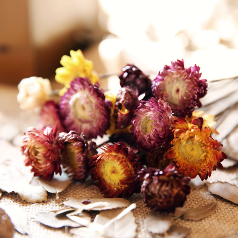 ��ױ��԰�Ҿ�װ��Ʒ�߲�С�ջ�