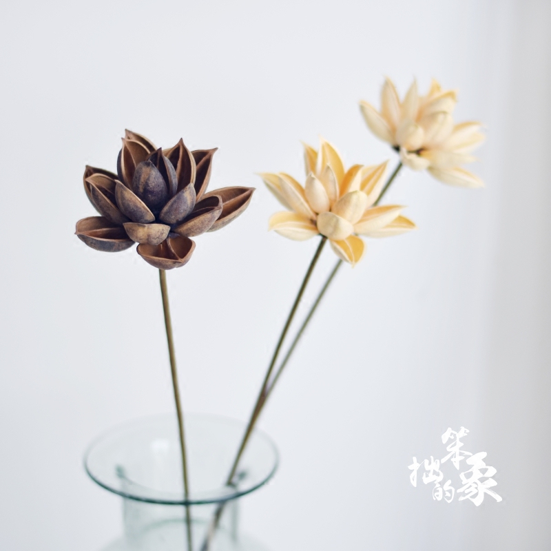 Lotus Dry Flower Art Natural plant Zen Pendulum Piece Living-room Decoration Photo Props Flowers Buddha Lotus Flower Simulation Flowers