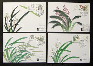 [full 200] head office limit sheet MC-8 orchid 4 full