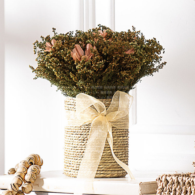 �����Ʒ�������ɻ�ZH005