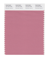 Pantone Pantone Color Card Pantone Clothing Home 16-1511 to 16-1640TCX Cotton Version Single Color Card