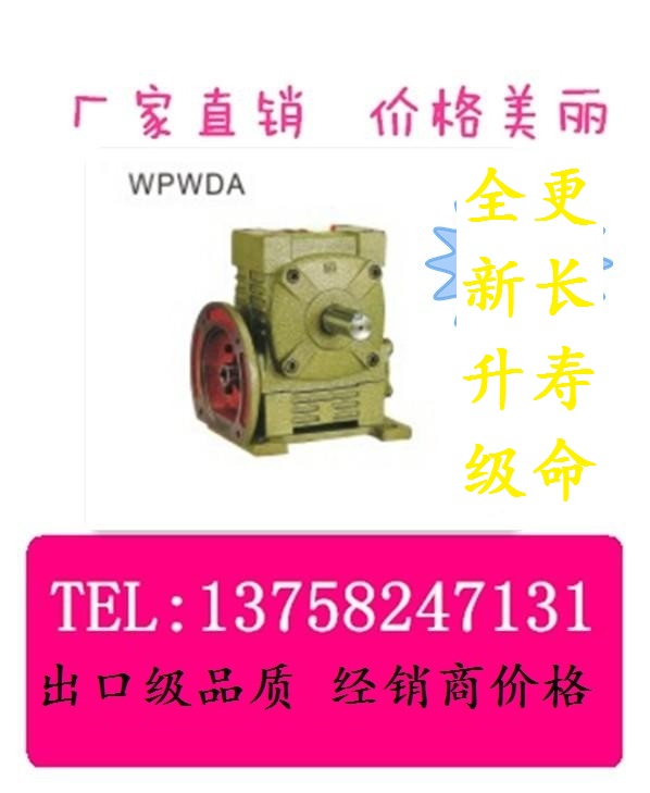 WPWDA Motor Flange Input Reduction Box Vertical WP Worm Wheel Worm Rod Cast-iron Turbine Reducer Large Reducer
