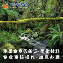 (China Youth Travel) Congo Gold Business Sticker Visa Africa