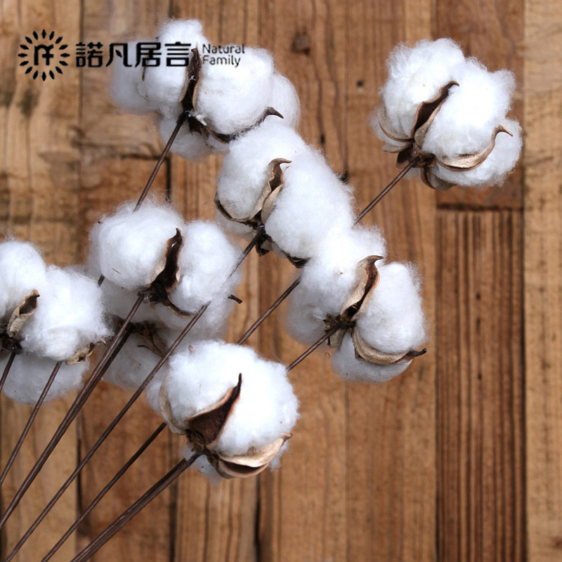 ŵ���޻�����޻�GH00102