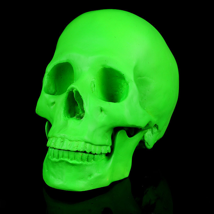Green Skull skull skull bar Furnishing Human Skull Model Medical Resin Spirit Division Creative Furnishing Photography