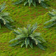 Simulated Lawn Moss Hair Transplant Stone Moss Stone Artificial Green Plant Lawn Carpet Rockery Decorative Turf Bonsai