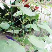 Nhà làm vườn net Dưa Chuột leo thực vật leo net mạng phiên bản nâng cao của nylon nguồn cung cấp vườn leo net 2