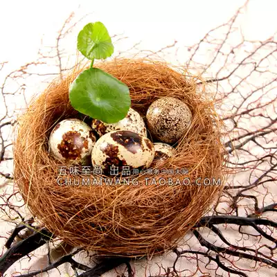 Bird's nest spiced eggs, quail eggs, pigeon eggs, special containers Zhenghui Creative hotel chef creative cold dishes, bird's nest containers