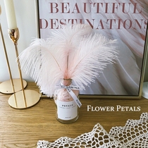 ins Pale pink Ostrich feather jewelry DIY flower accessories Eternal flower home decoration vase photo props