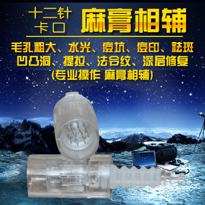 电动微针用12针卡口微针头 美白淡斑去细纹补水收毛孔MTS针头