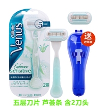 New arrival Gillette Venus Ms Five-blade shaving knife For sensitive skin Manual hair removal knife