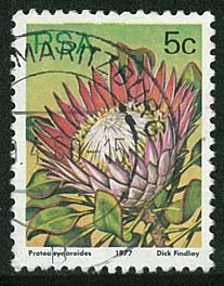 South Africa Common Stamp 1977 Sea God Flowers 5c Letter Pin