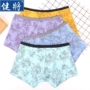 Quần lót nam Boxer Quần cotton Cottoned Cotton Mid-Eo Thu hẹp tay áo thun cotton thoáng khí Thanh niên Boxer - Tam giác quan sip nam