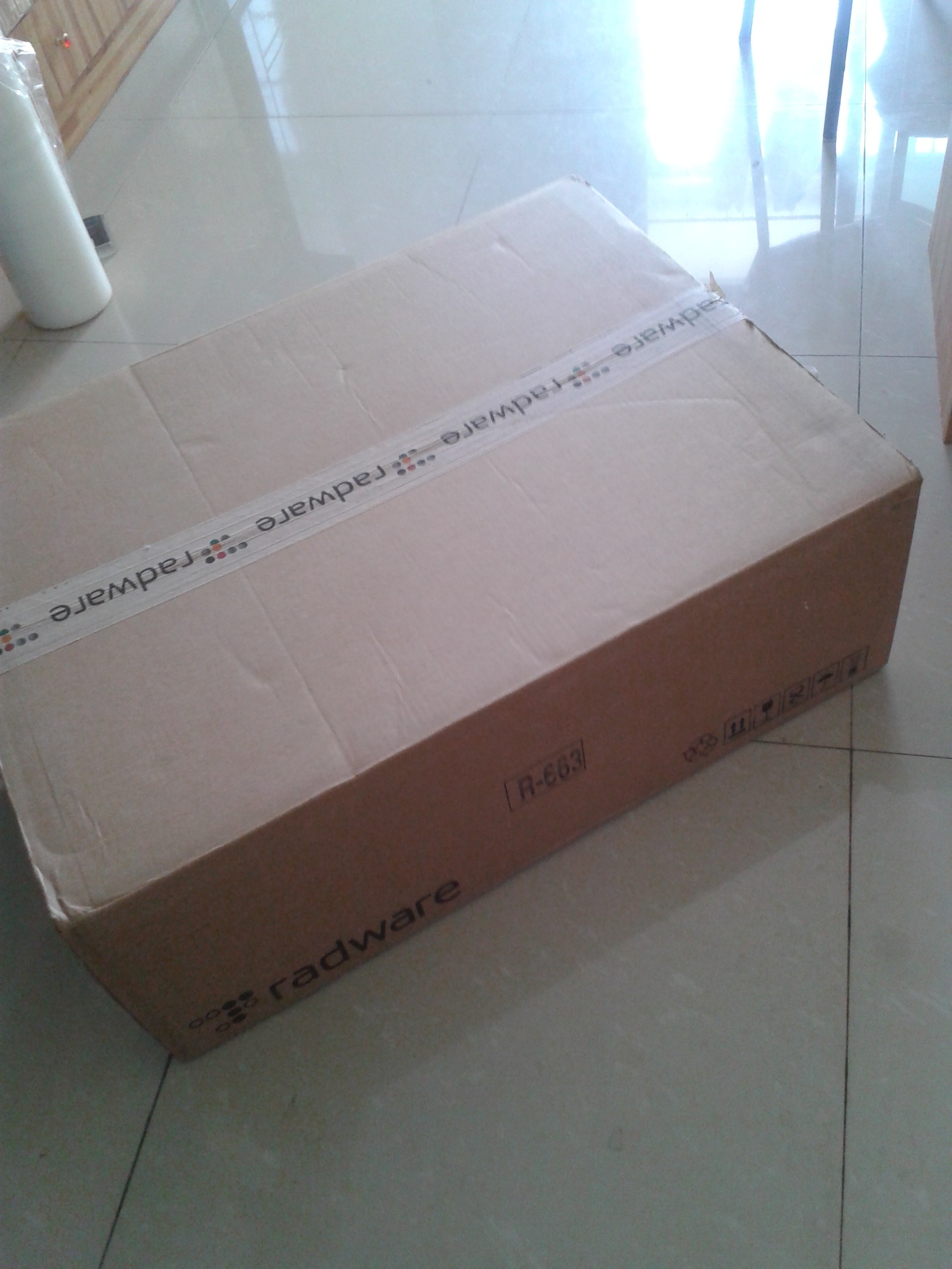 radware alteon 5412 load device