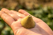 Ai Cone Ai Tuo Aita 12:1 Five Years Chen Ai Rong Ginger Moxibustion Partition Moxibustion 20 Grain One Edition Store Number 5161718