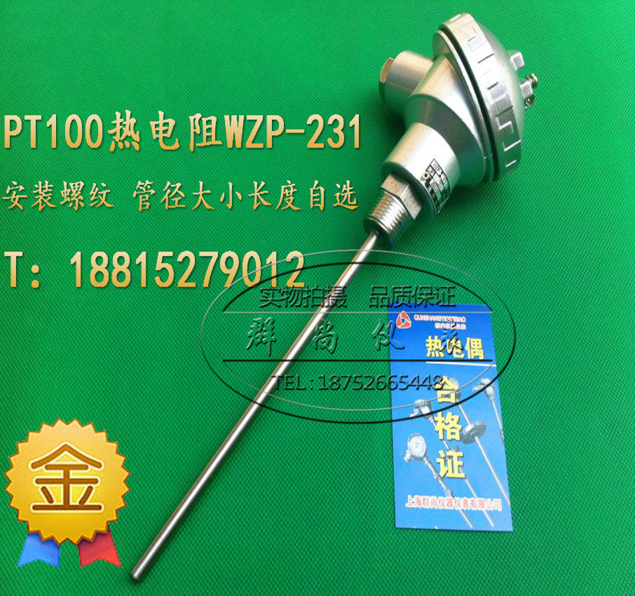 WZP-230 (231) PT100 Platinum Thermoresistance PT100 Temperature Sensor Fixed threaded thermocouple