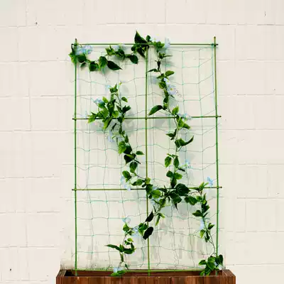 Gardening climbing rattan net rack Plant climbing rack Net cucumber rack Loofah rack Climbing pergola morning glory climbing rack
