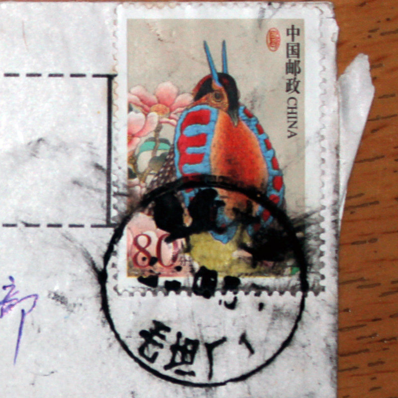 PLACE NAME POKE-MAUTAN PLANT