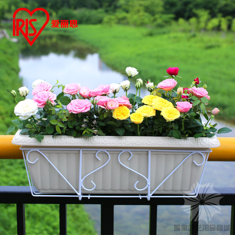 A形水培种植架：家庭阳台变身绿植天堂，无土种菜神器等你来领！