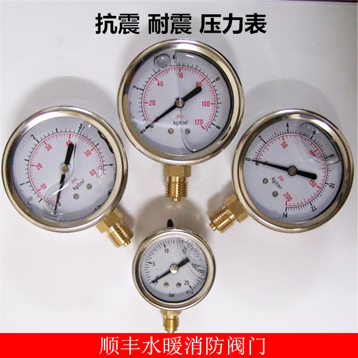 Shock-proof and shock-proof oil pressure gauge hydraulic pressure gauge 600 YN-150-Taobao