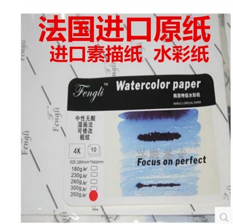 French imported raw paper maple 4K watercolor paper coarse texture paper 180 230 260 300 350g