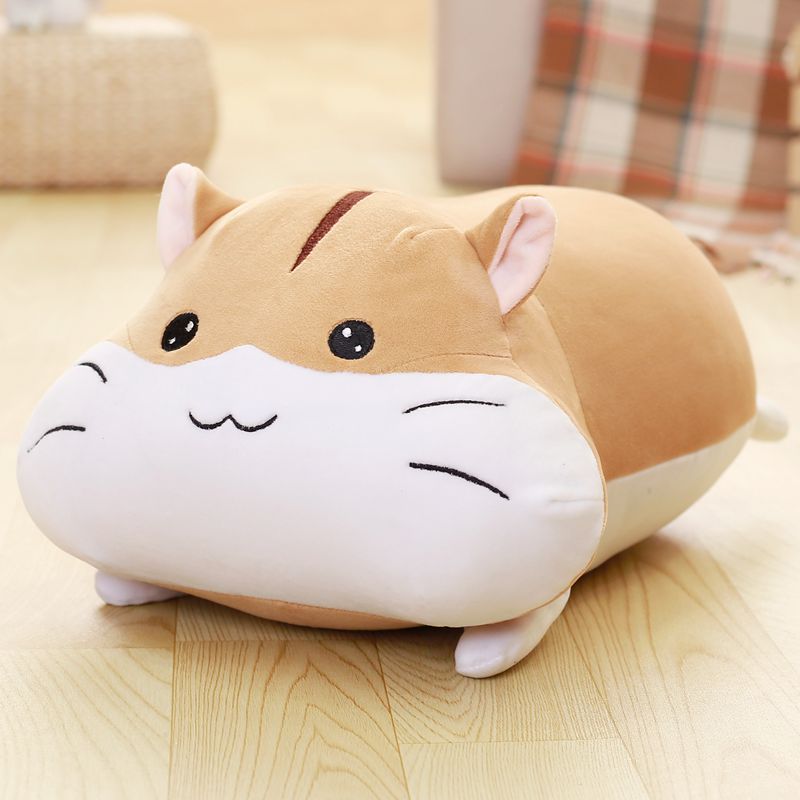 ��֮��ë����� ��201703