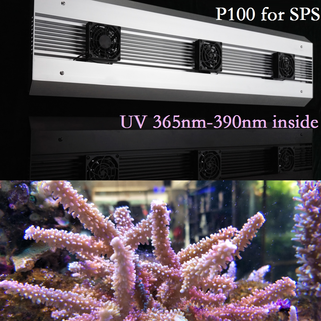 Reefsky P Full Spectrum Intelligent Seawater Lights Hard Coral Lights Aquarium Bowl Fish Bowl Lighting Raw Lamp