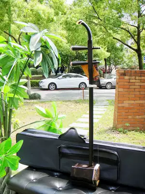 Store direct for technicians to choose Dunhuang erhu 08AE selected African ebony pitch in place