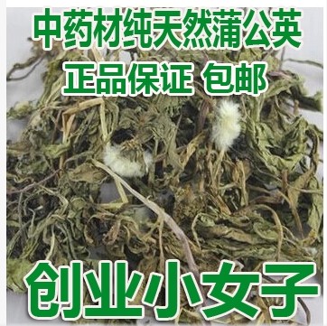 Dandeling 500 grams of Chinese medicine dry dandelion wild dandelion powder dandelion tea herb