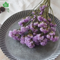 (Excellent grade Forget-me-not)Living room decoration dried flower bouquet Home decoration white light purple forget-me-not dried flowers