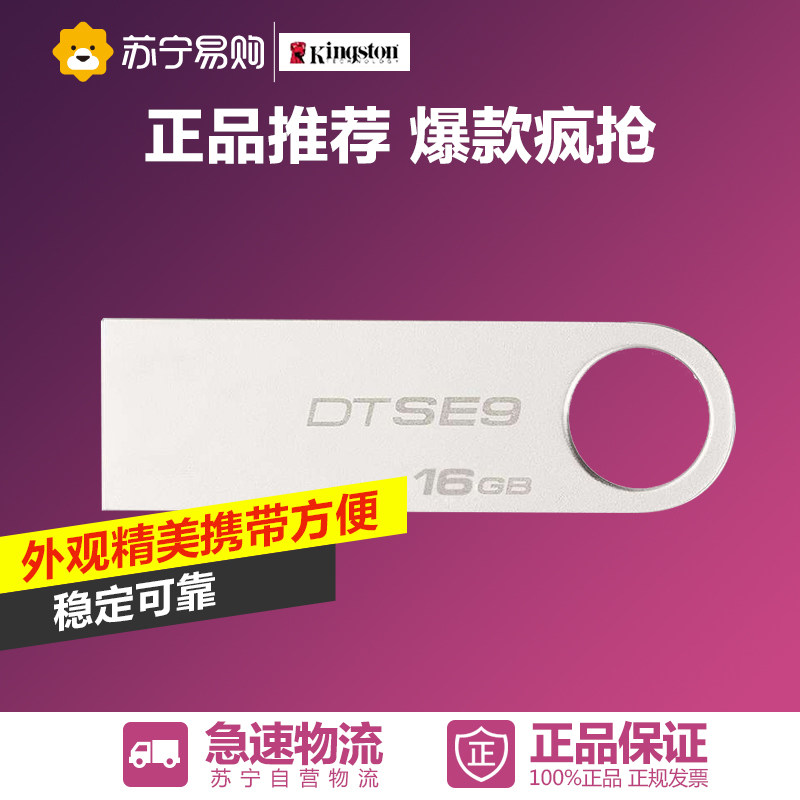 Kingston/金士顿DTSE916GBU盘（银灰）