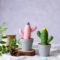 Nordic wool felt cactus simulation plant potted ins home decoration girl heart ornaments birthday gift